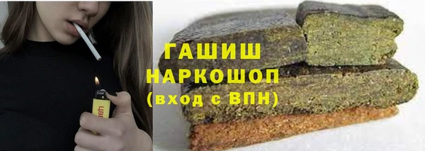 индика Белокуриха