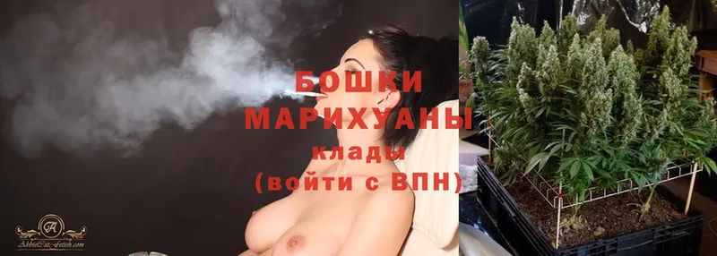 дарк нет клад  Звенигород  Шишки марихуана White Widow 